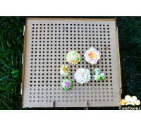 Shelf with perforation for drying gingerbread, marshmallows and macarons (40*48 cm)