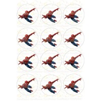 Waffle picture "Spider-Man"-7