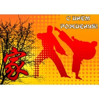 Вафельна картинка "Карате" - 3