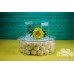 Acrylic box 25 cm, h 10 cm