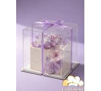 Упаковка Crystale Cube 200*200 мм, h200 мм (біле двп та прозорий пластик)