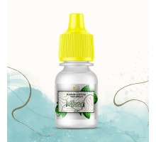 Food flavoring Mint