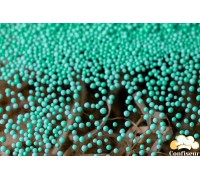 Sugar nonparel ' light cyan (95 grams)