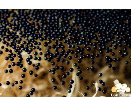 Nonparel ' black sugar (95 grams)