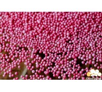 Цукровий нонпарель світло-червоний (95 грам)