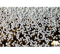 Nonparel ' white sugar (95 grams)