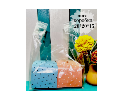 Пакет майка прозорий (300мм+ два клапани по 80мм), висота 450 мм  (5 шт)