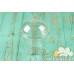 Glass Transparent PET dessert, 240 ml.