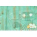 Glass Transparent PET dessert, 240 ml.