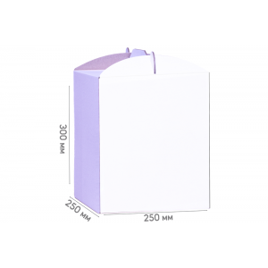 Box for cake 250*250*300 white