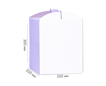 Box for cake 250*250*300 white