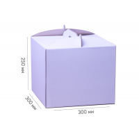 Box for cake 300*300*250 white