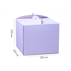 Box for cake 300*300*250 white