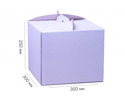 Box for cake 300*300*250 white