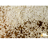 Sugar nonparel pearl white (95 g)