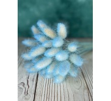 Сухоцвіт "Лагурус" блакитний 5шт