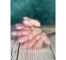 Dried flowers "Lagurus" pink 5pcs