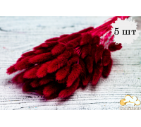 Сухоцвіт 