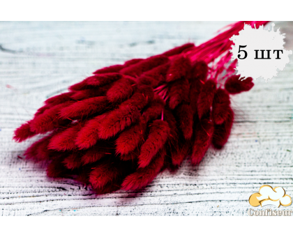 Dried flowers 