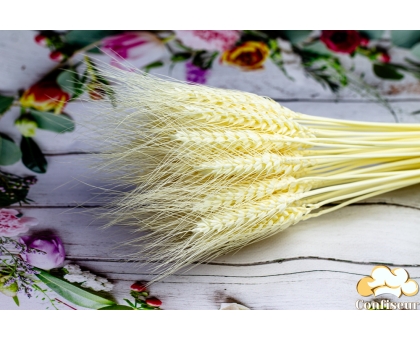 Колосок пшениця відбілена ВУСАТА (5 шт.)