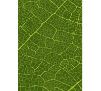 Плівка перекладна А-4 Текстура листа 1шт