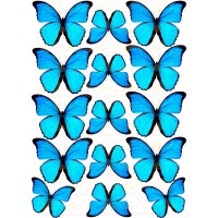 Waffle picture "Butterfly"-18