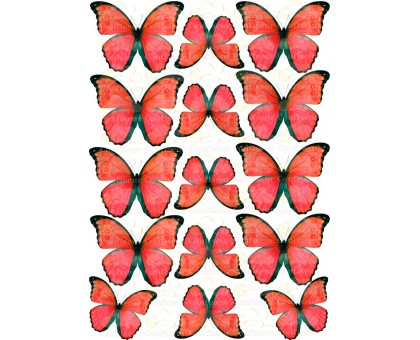 Вафельна картинка "Метелики"-20