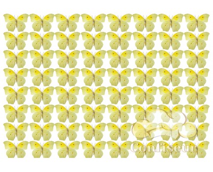Waffle picture 