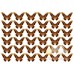 Waffle picture 